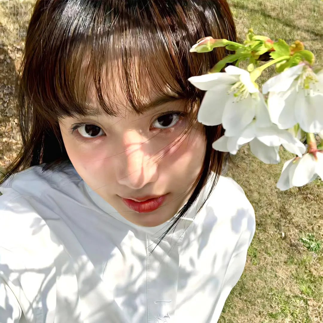 香草的天空